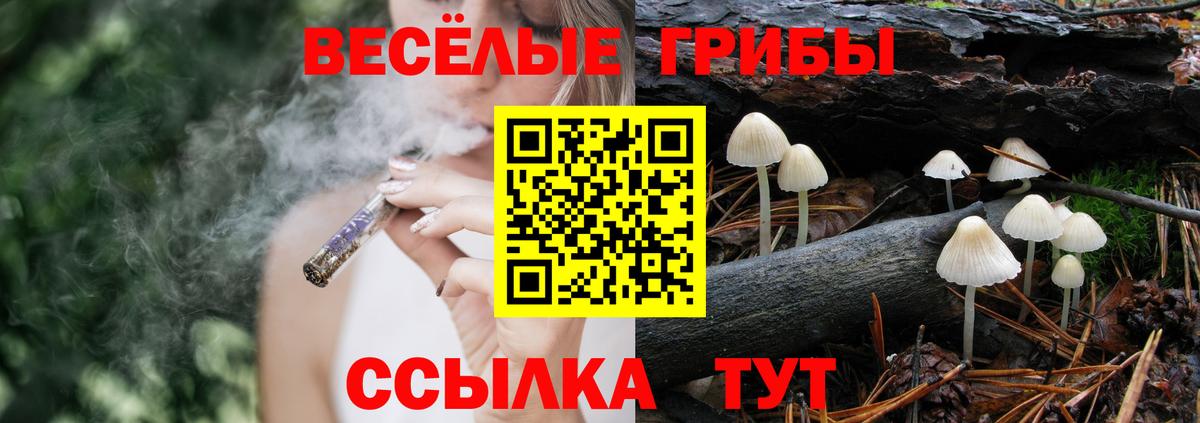 Псилоцибиновые грибы прущие грибы Белово
