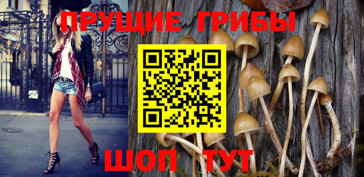 Псилоцибиновые грибы GOLDEN TEACHER  Вход с VPN  Белово 